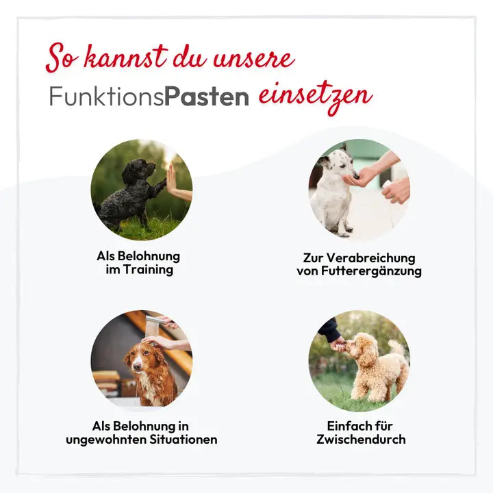 PHA - Gastropaste - 100ml