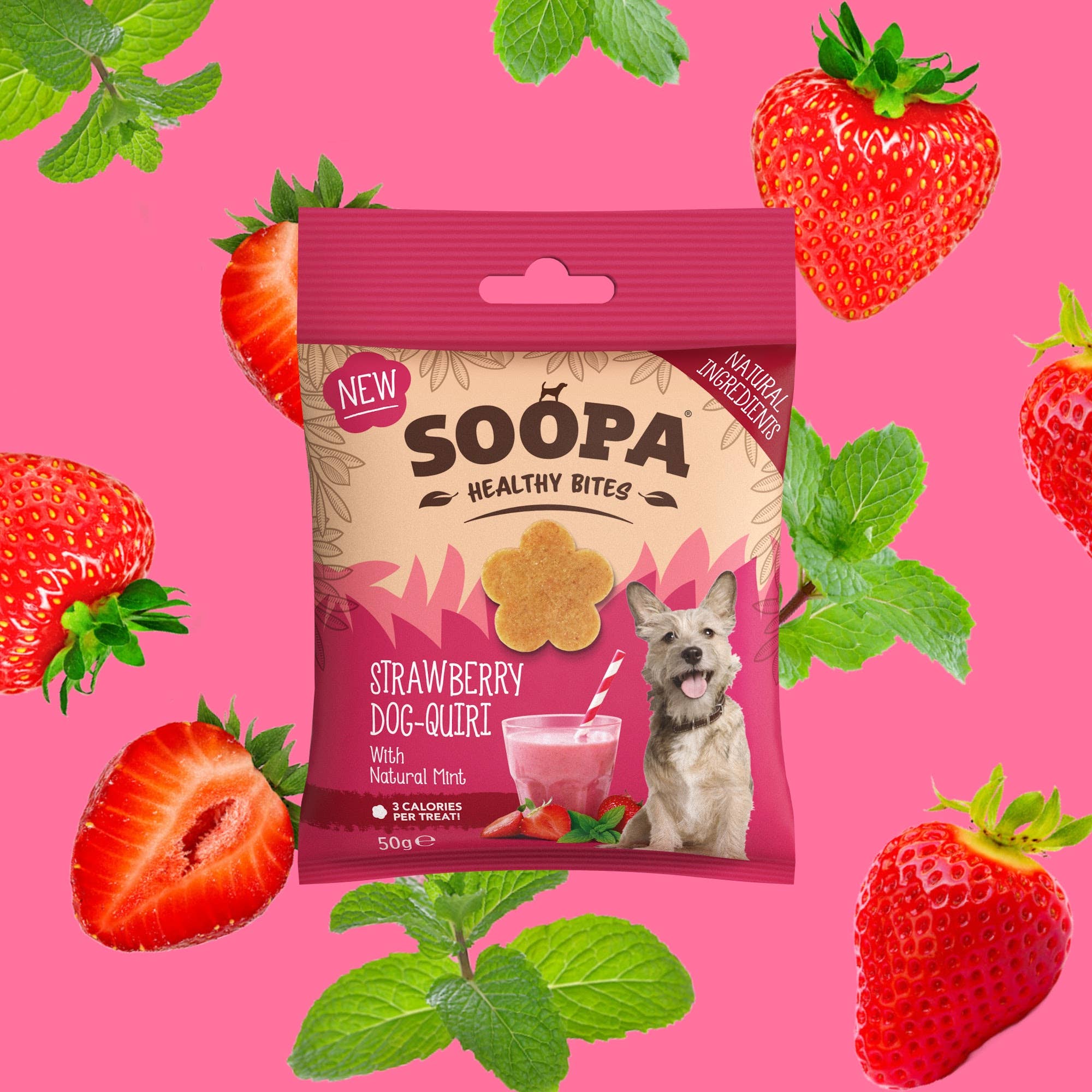 Soopa - Godbidder m. Jordbær & Kokos - 50g