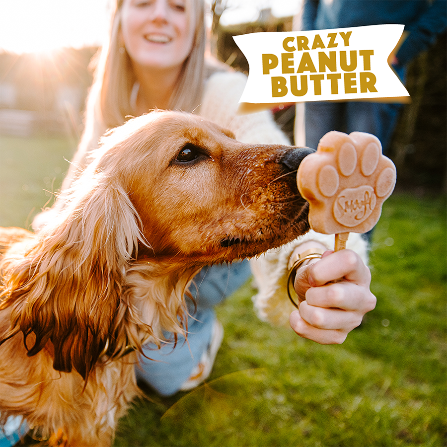 Smoofl - Ismix til hundeis - Peanut Butter