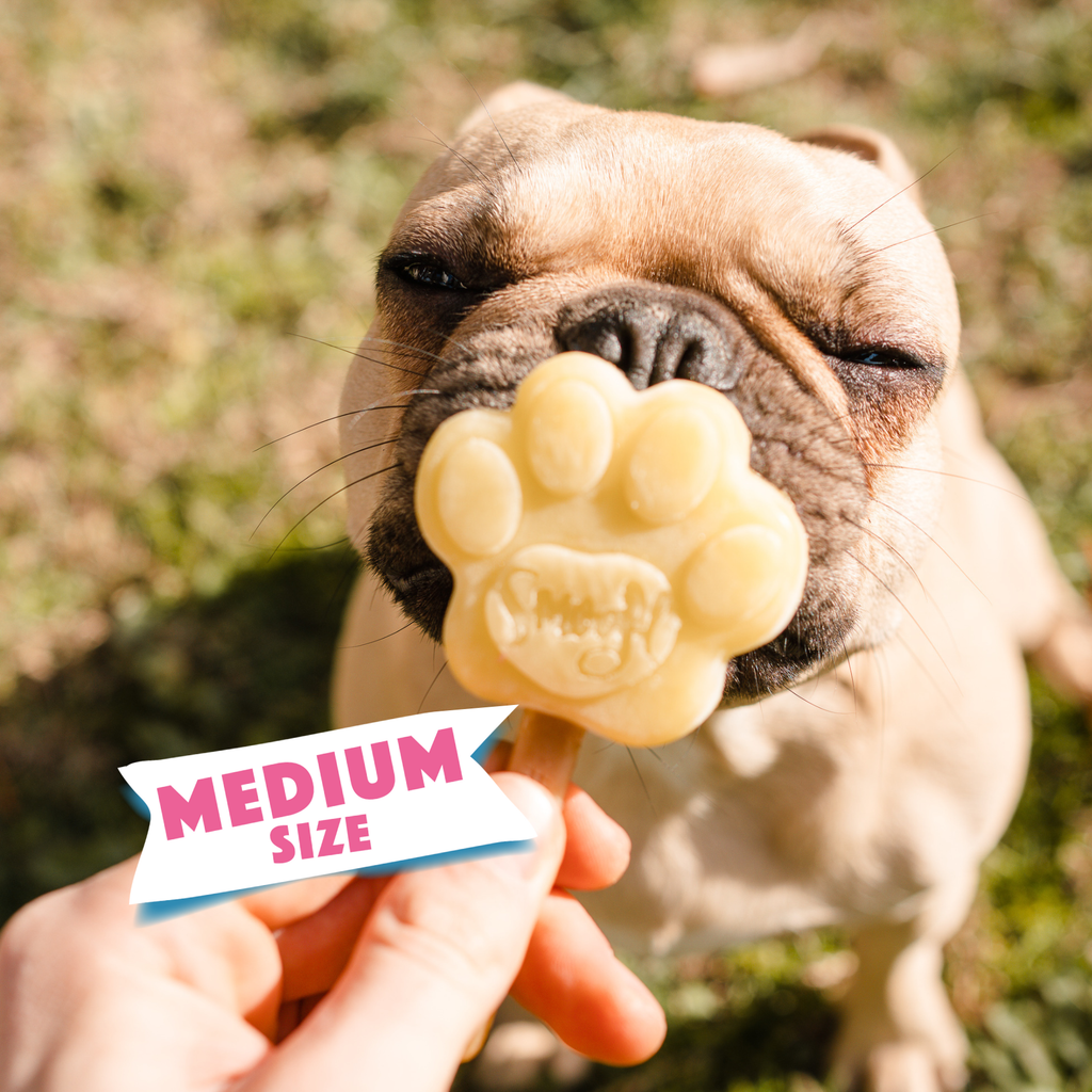 Smoofl - Silikone poteform til hundeis - Medium