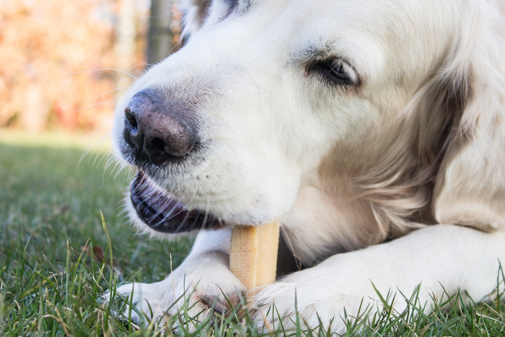 Yaki Original 100-109g L