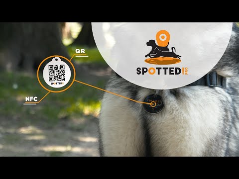 Spotted! - Pro ID-skilt til hunde - Str. M