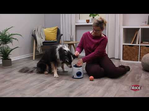 Aktiveringslegetøj - Trixie - Ball & Treat