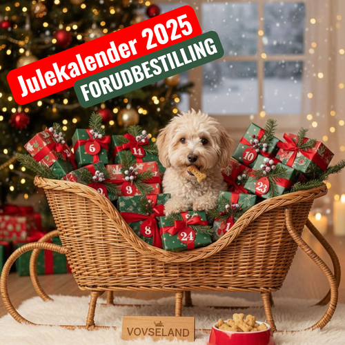 Julekalender 2025 (værdi 599,95)