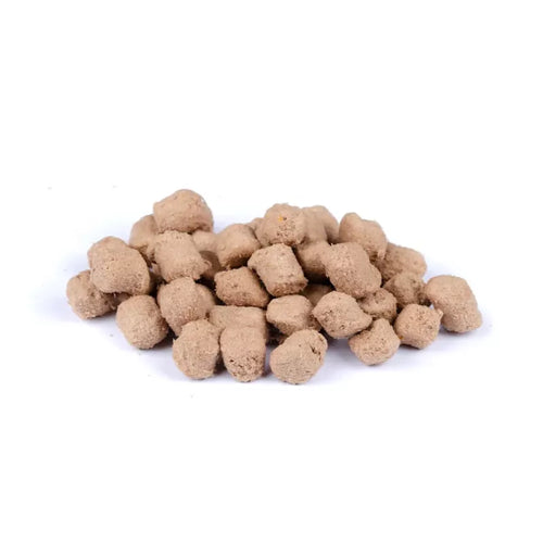 Brit - Raw Treat - Urinary m. Kalkun, Probiotika, Græskar & Tranebær - 40g