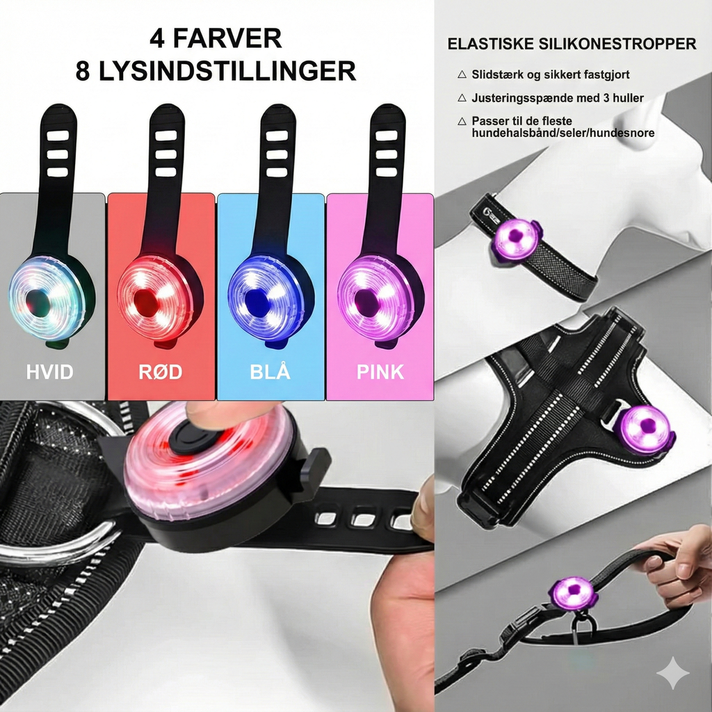 Safety light 4-i-1 lygte til hund
