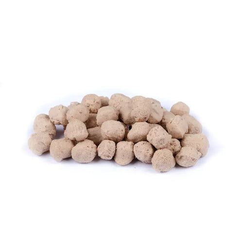 Brit - Raw Treat - Digestion m. Kylling, Probiotika & Loppefrøskaller - 40g