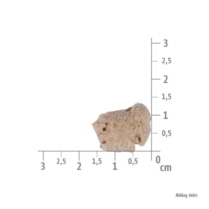 Brit - Raw Treat - Immunity m. Lam, Kylling og Probiotika - 40g
