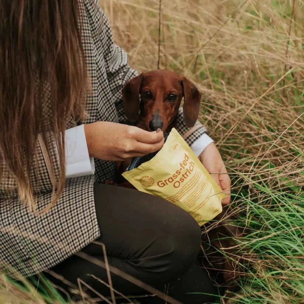 Buddy Pet Foods - Bløde godbidder - Struds & Brombær 200g