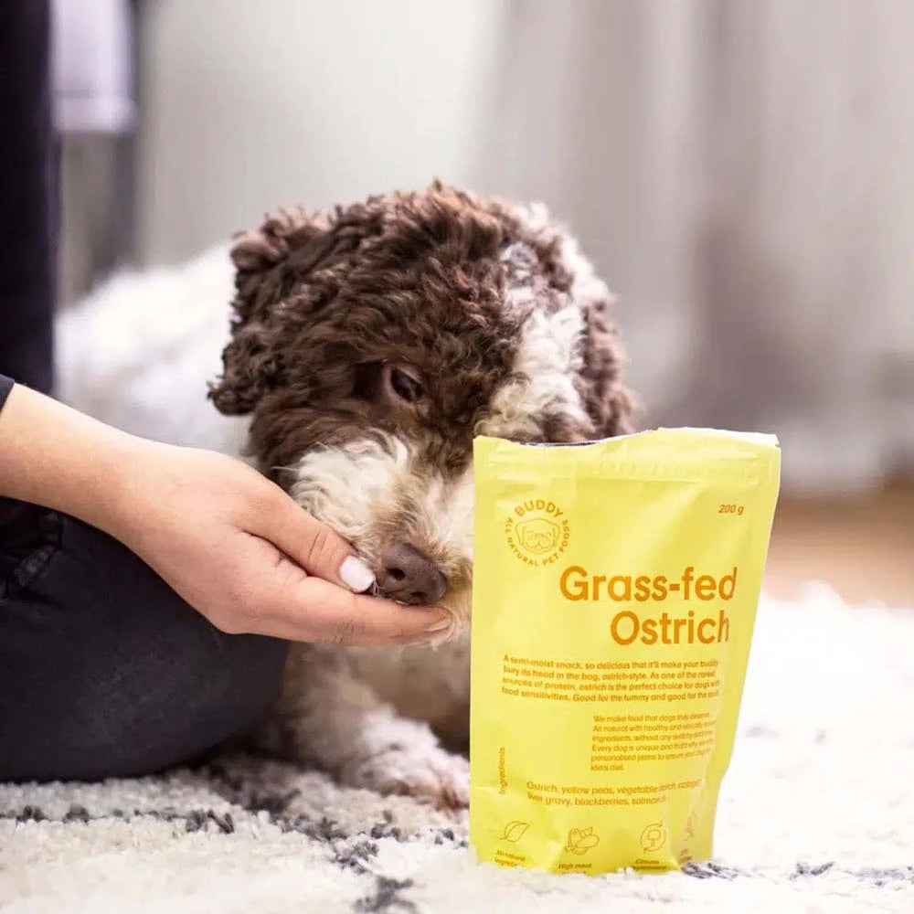 Buddy Pet Foods - Bløde godbidder - Struds & Brombær 200g