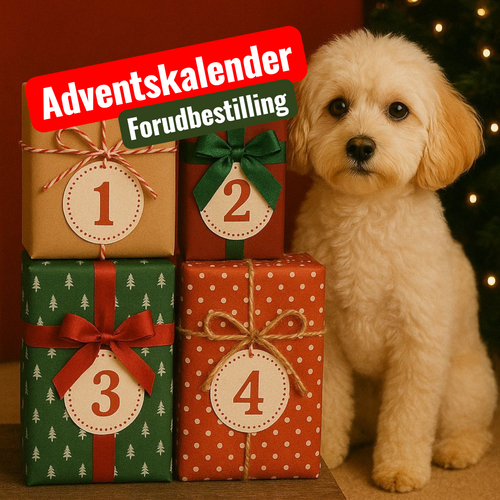 Adventskalender 2025 (værdi 599,95)