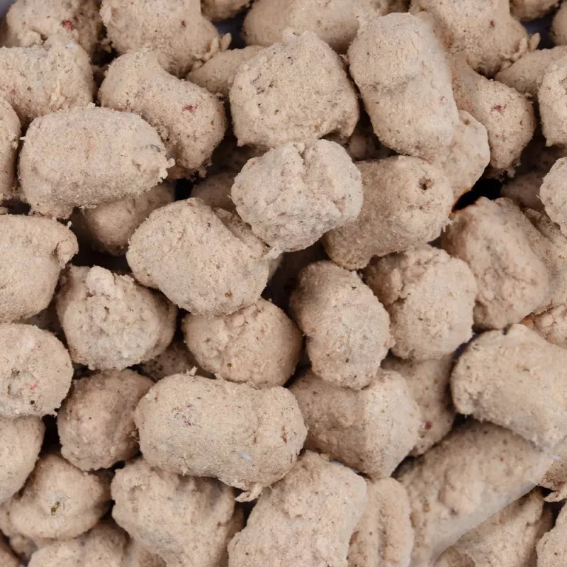 Brit - Raw Treat - Skin & Coat m. Fisk, Kylling, Probiotika & Alger - 40g