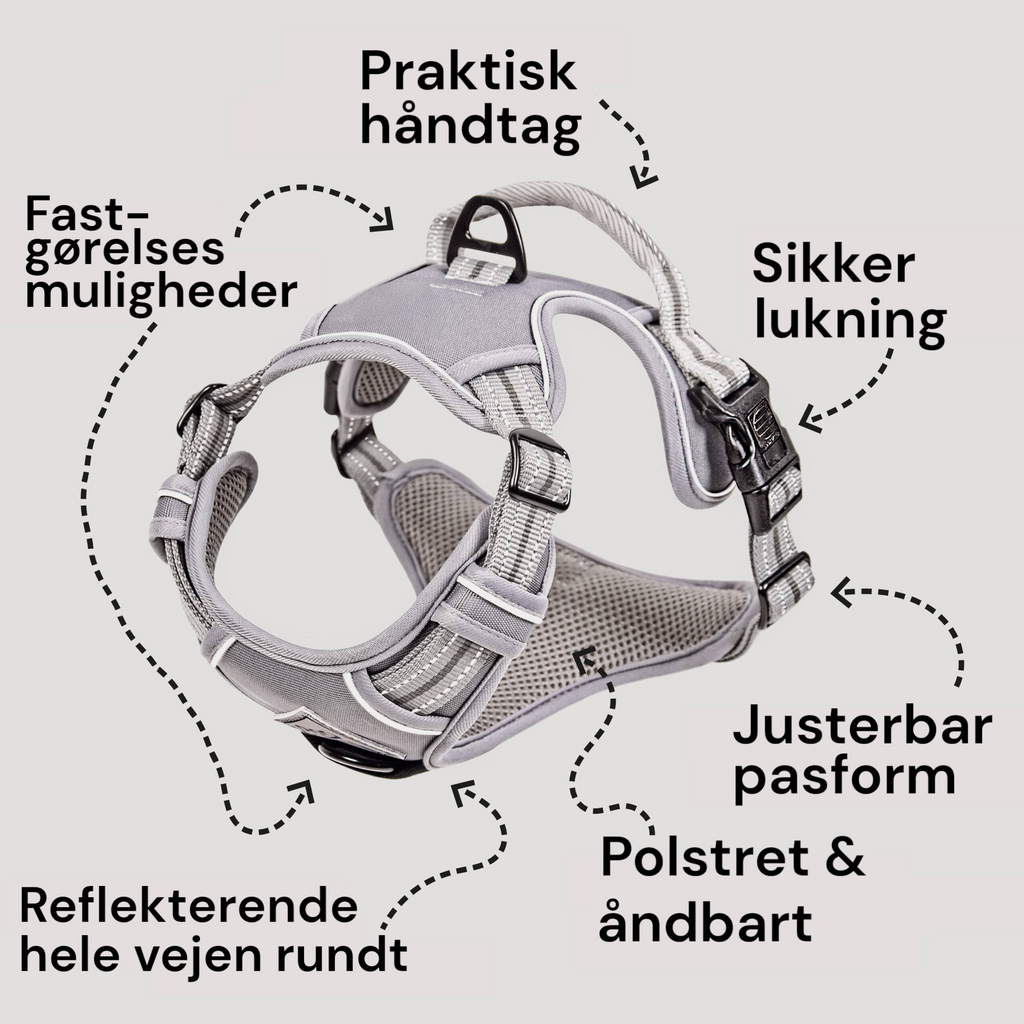 Ne&no® - Outdoor Hundesele m. støddæmper - S