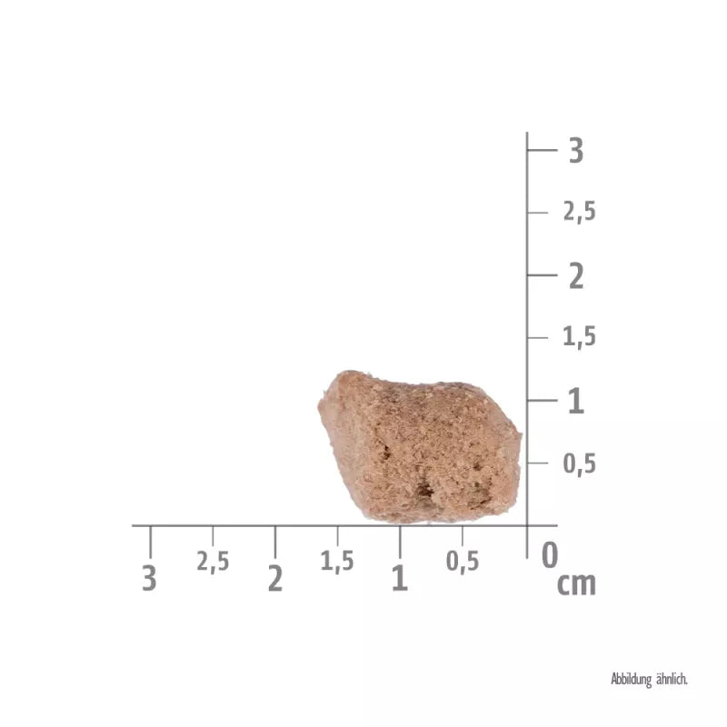 Brit - Raw Treat - Urinary m. Kalkun, Probiotika, Græskar & Tranebær - 40g